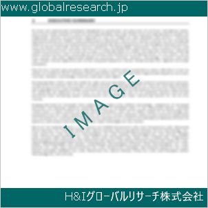 グローバルリサーチ調査資料のイメージ